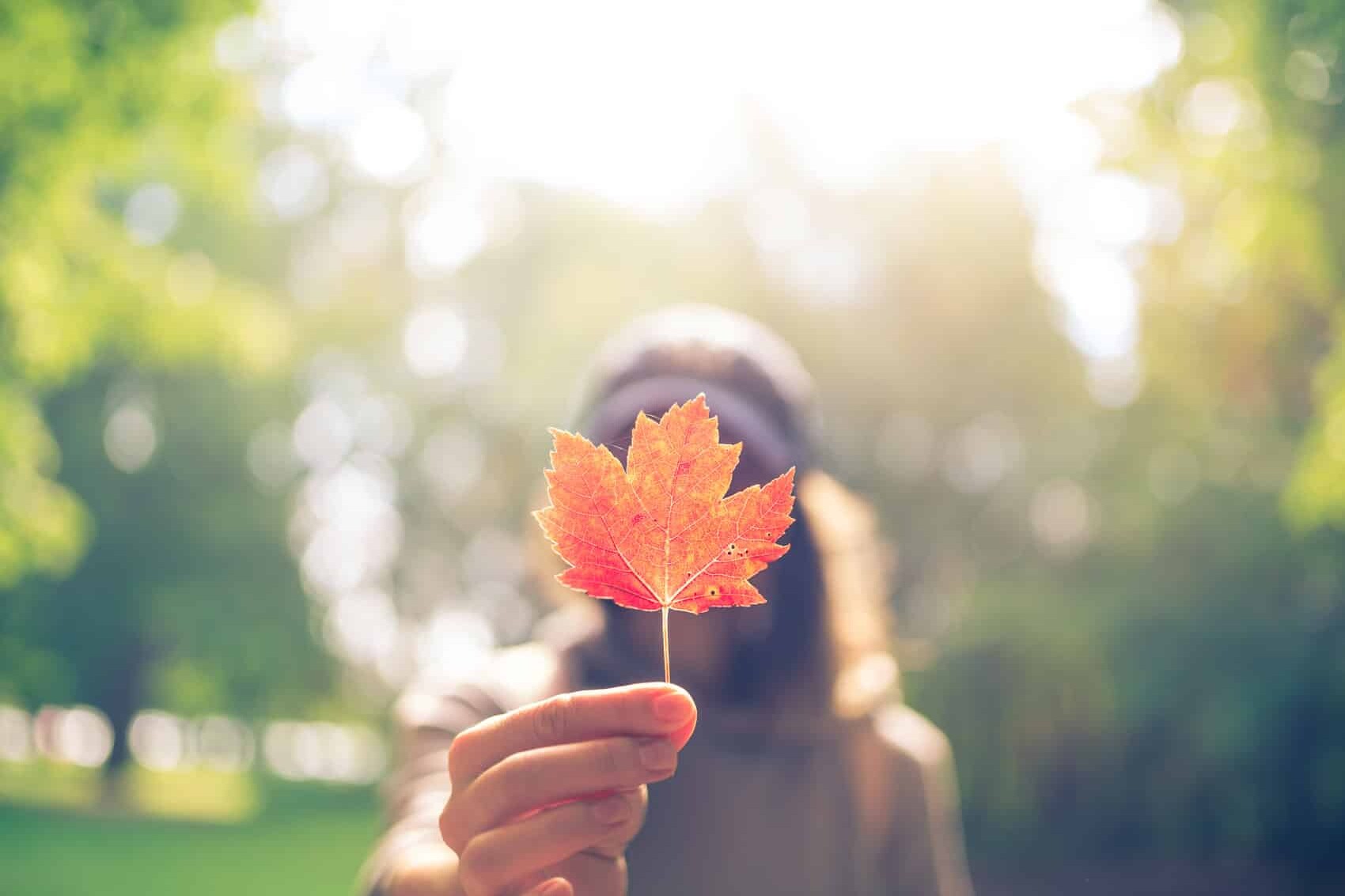 A person holds a red maple leaf towards the camera, their face out of focus. The bright, blurry background of green trees and sunlight subtly hints that Canadians don’t need to worry about identity politics—they simply celebrate their unity.