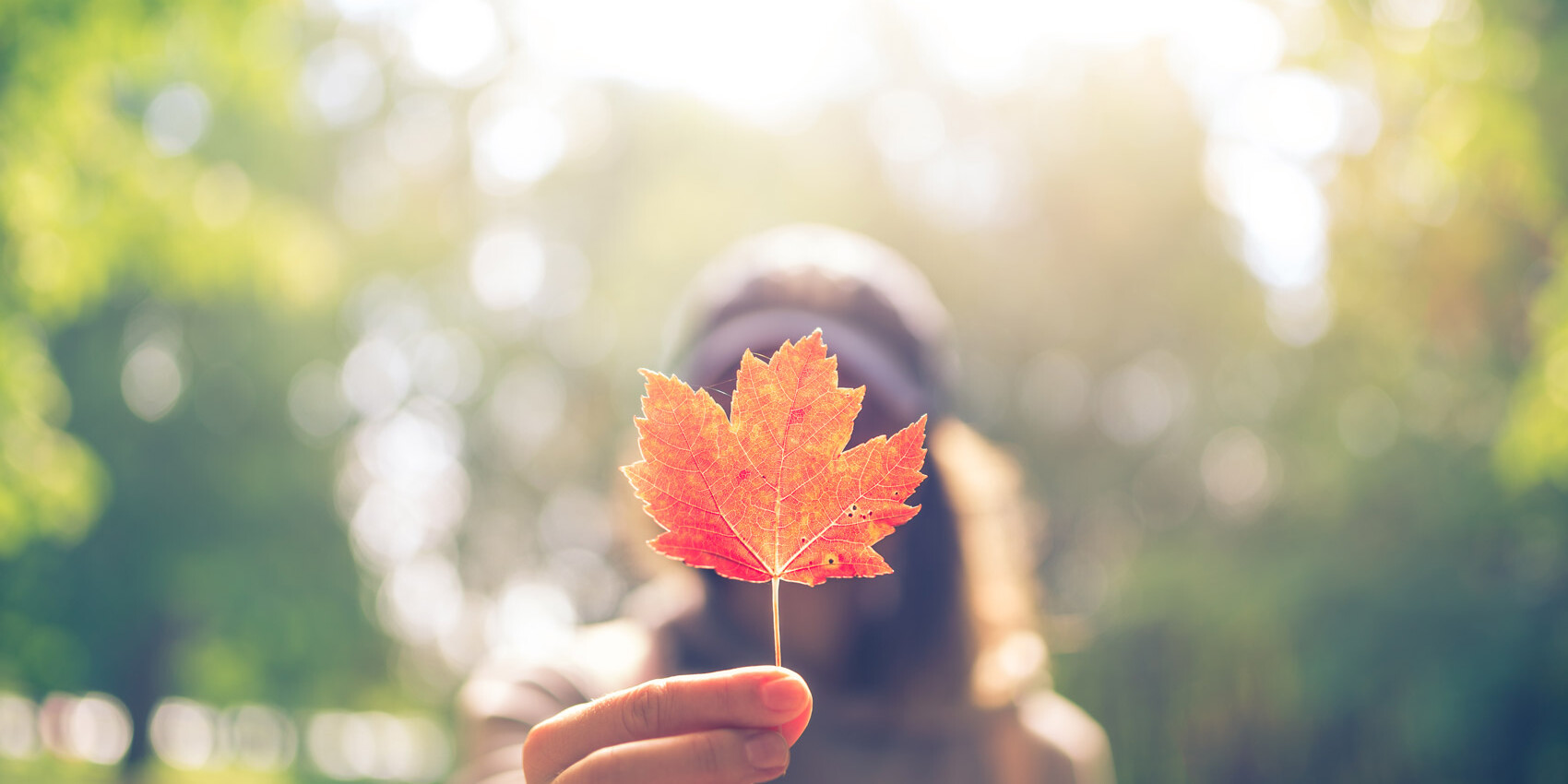 A person holds a red maple leaf towards the camera, their face out of focus. The bright, blurry background of green trees and sunlight subtly hints that Canadians don’t need to worry about identity politics—they simply celebrate their unity.