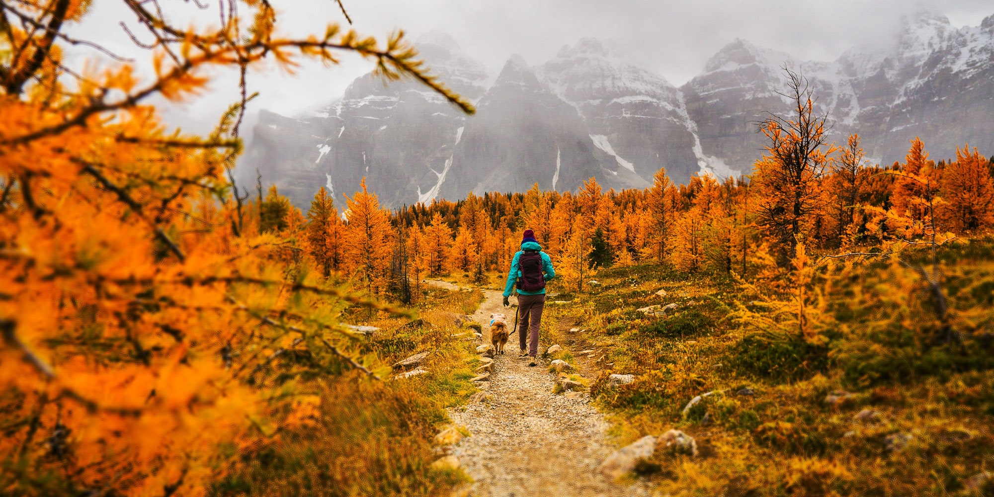 A person in a blue jacket hikes with a dog along a trail through golden autumn trees, misty mountains rising behind—a reminder that Canada is not the regionally divided country it’s made out to be, but united in natural beauty.