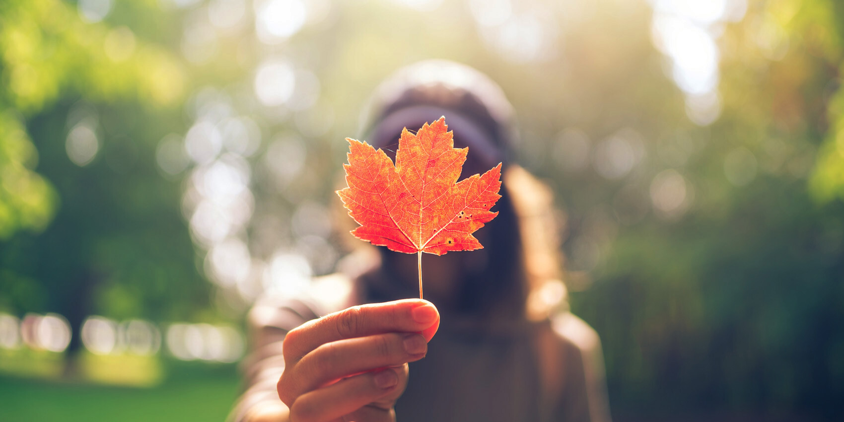 A person holds a bright red maple leaf toward the camera, with their face out of focus. Sunlight filters through green trees, creating a warm atmosphere—reflecting how Canadians want lasting change with economic recovery, as a new survey shows.