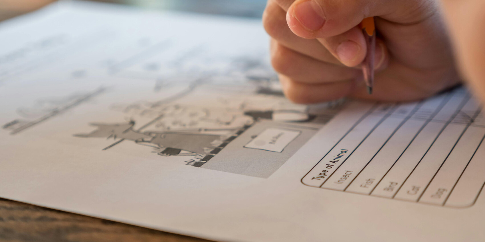 Close-up of a child’s hand holding a pencil and writing on a worksheet with illustrations and a table labeled Type of Animal, hinting at the real roots of Canada's education test successes on a wooden surface.