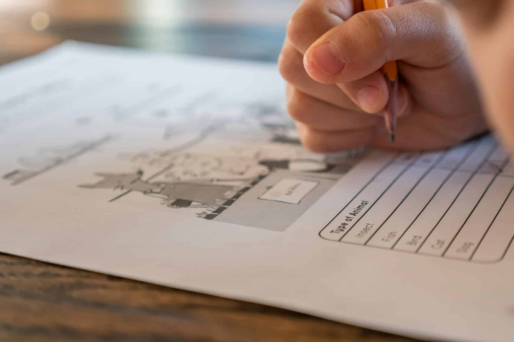 Close-up of a child’s hand holding a pencil and writing on a worksheet with illustrations and a table labeled Type of Animal, hinting at the real roots of Canada's education test successes on a wooden surface.